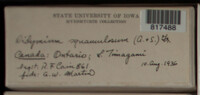Image Associated With the Occurence